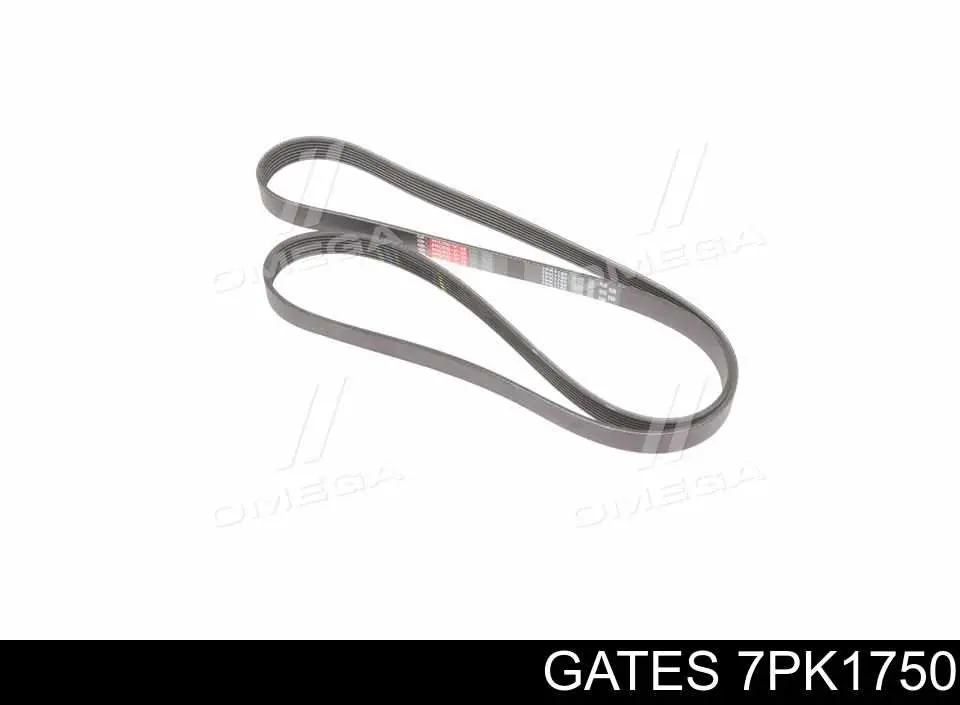 Correia dos conjuntos de transmissão Gates 7PK1750 preço, a partir de 25,18 USD