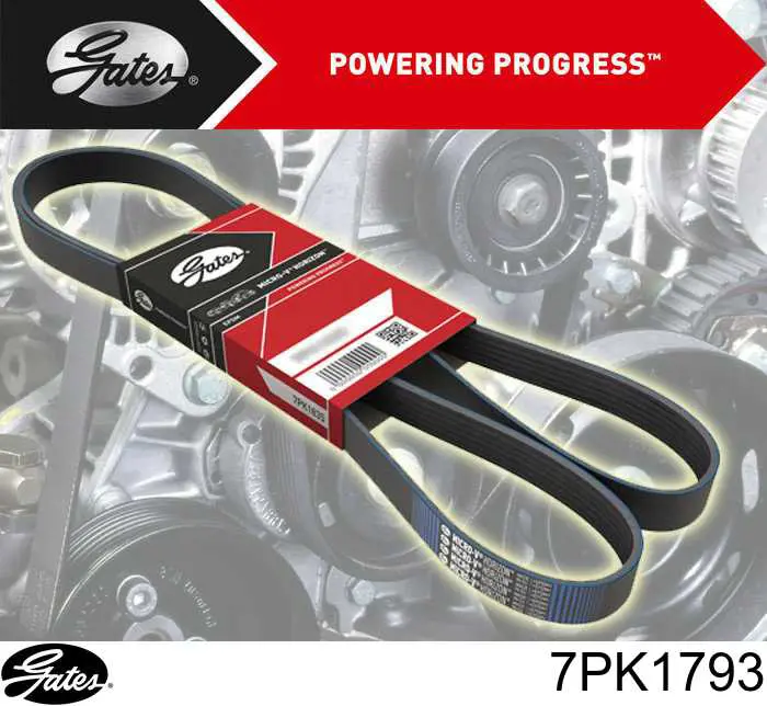 Correia dos conjuntos de transmissão Gates 7PK1793 preço, a partir de 20,52 USD