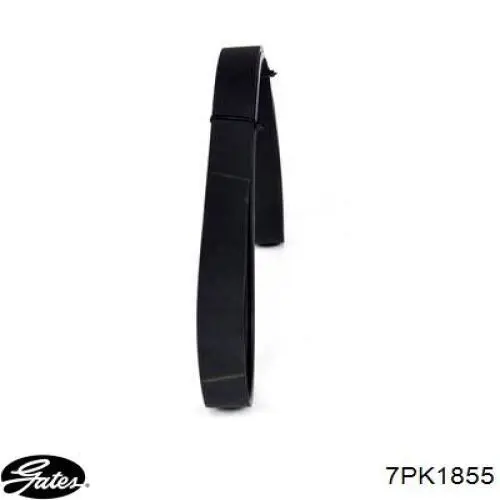 Correia dos conjuntos de transmissão Subaru 809225020 preço, a partir de 24,77 USD