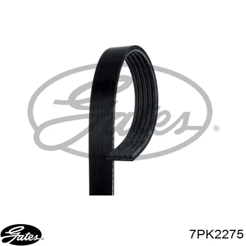 Compre 7PK2275 Bando Correia dos conjuntos de transmissão