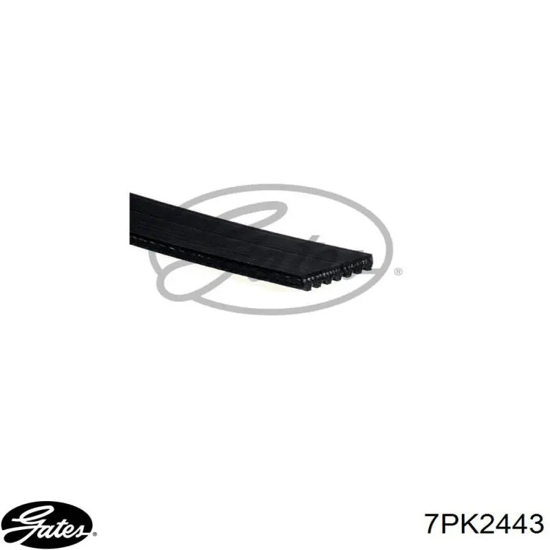 Correia dos conjuntos de transmissão Gates 7PK2443 preço, a partir de 19,39 USD
