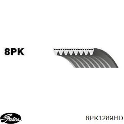 Correia dos conjuntos de transmissão Dayco 8PK1285 preço, a partir de 19,61 USD