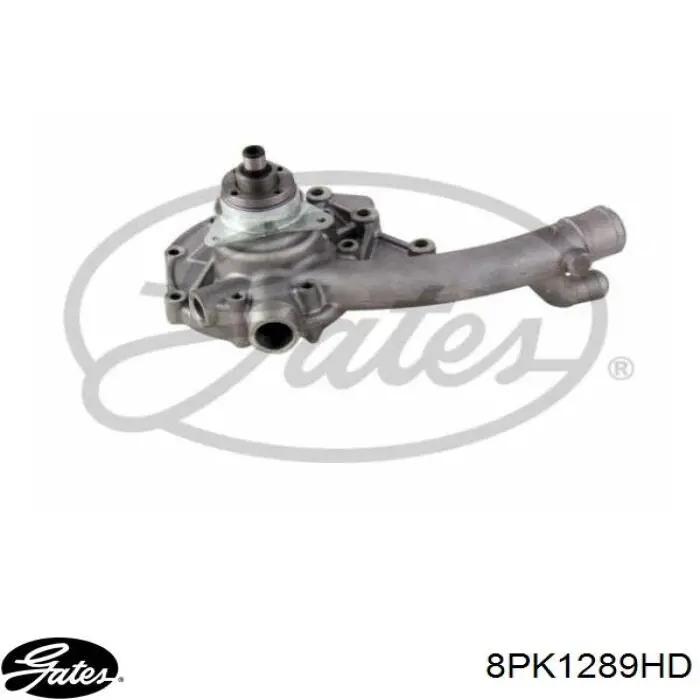 Correia dos conjuntos de transmissão 8PK1290HD Dayco