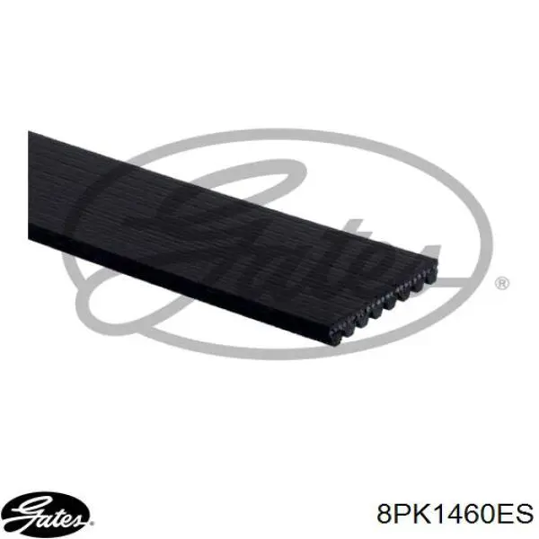 Correia dos conjuntos de transmissão Continental/Siemens 8PK1460 preço, a partir de 26,29 USD