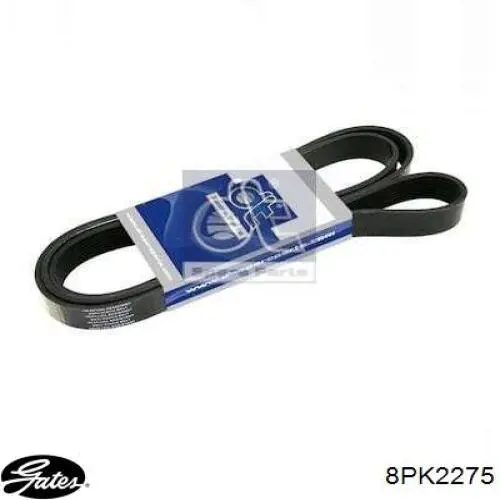 Compre DV8PK2485 Japan Parts Correia dos conjuntos de transmissão