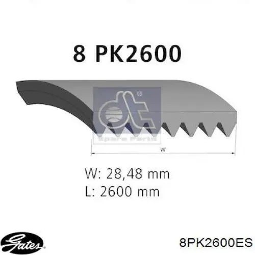 Correia dos conjuntos de transmissão Continental/Siemens 8PK2604 preço, a partir de 50,97 USD