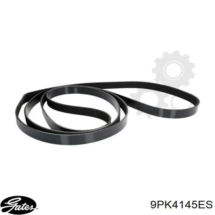 Compre 9PK4145 Continental/Siemens Correia dos conjuntos de transmissão