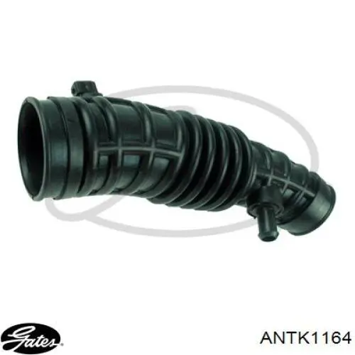 Cano derivado de ar, saída de filtro de ar Gates ANTK1164 preço, a partir de 17,58 USD