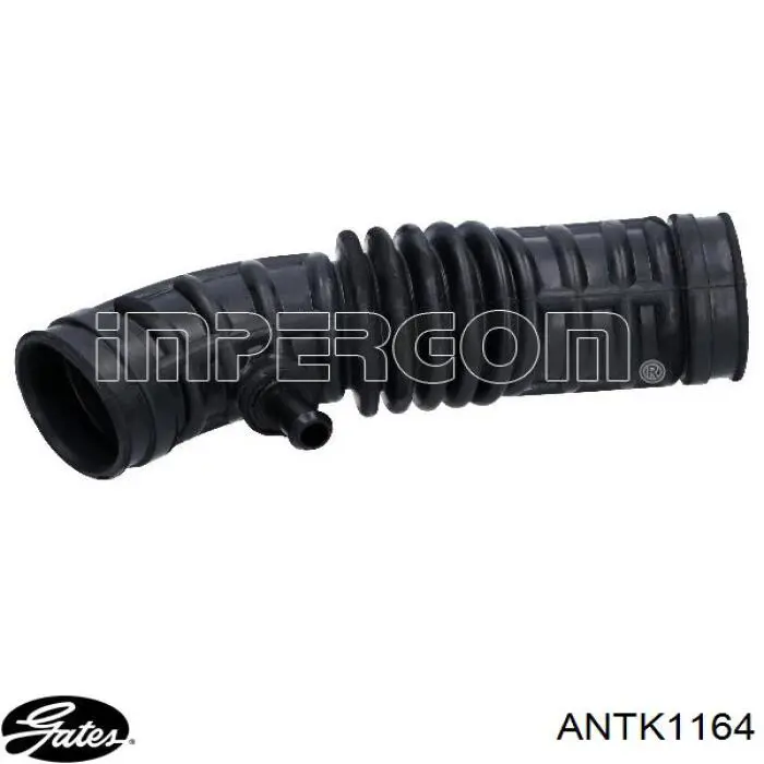 Cano derivado de ar, saída de filtro de ar Gates ANTK1164 preço, a partir de 22,90 USD