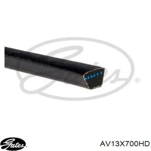 AV13X700HD Gates Correia dos conjuntos de transmissão