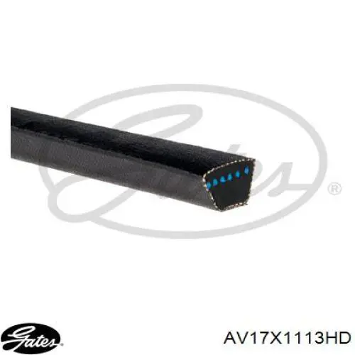 Compre AVX17X1115 Continental/Siemens Correia dos conjuntos de transmissão