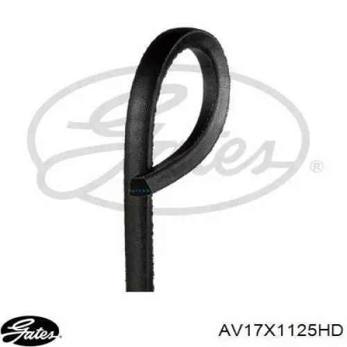 Compre AV17X1125HD Gates Correia dos conjuntos de transmissão