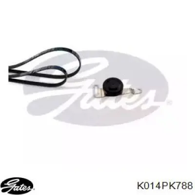 Correia dos conjuntos de transmissão, kit Mercedes Q0015956V001000000 preço, a partir de 77,08 USD