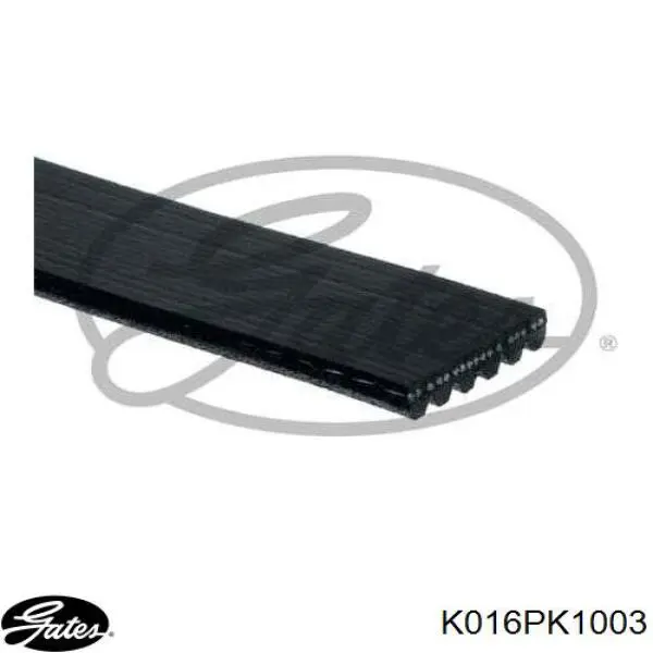 Correia dos conjuntos de transmissão, kit Gates K016PK1003 preço, a partir de 65,50 USD