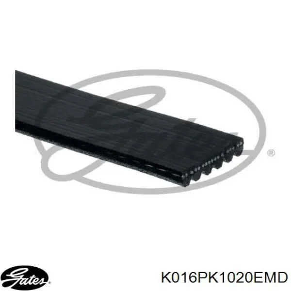 Correia dos conjuntos de transmissão, kit Febi 170033 preço, a partir de 124,31 USD