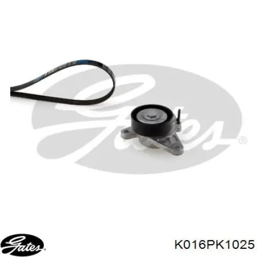 Compre 04L903315C VAG Correia dos conjuntos de transmissão, kit