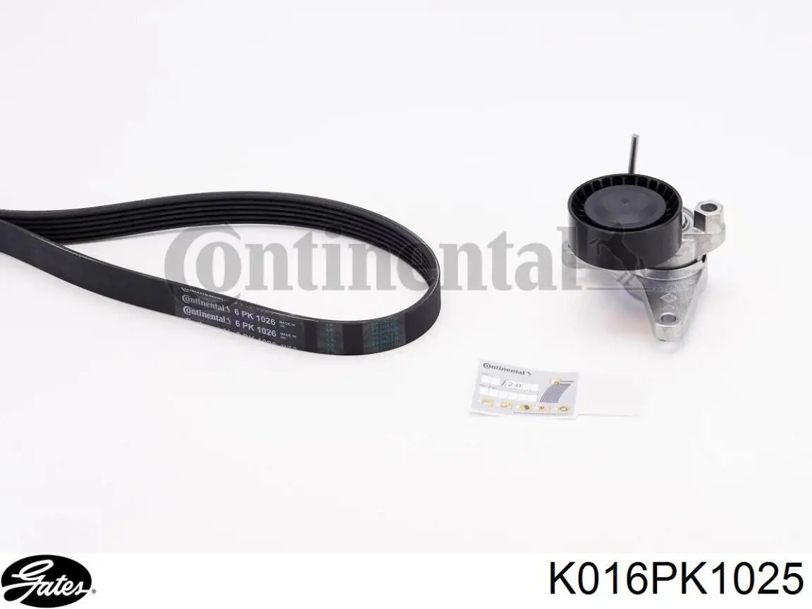 Compre 4L903315C VAG Correia dos conjuntos de transmissão, kit
