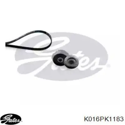 Correia dos conjuntos de transmissão, kit Rover 25  RF