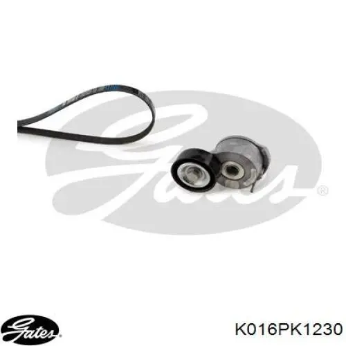 Correia dos conjuntos de transmissão, kit Peugeot/Citroen 1617025580