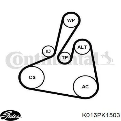 Correia dos conjuntos de transmissão, kit Continental/Siemens 6PK1502EXTRAK1 preço, a partir de 85,96 USD