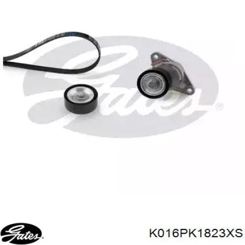 Correia dos conjuntos de transmissão, kit INA 529005410 preço, a partir de 103,59 USD