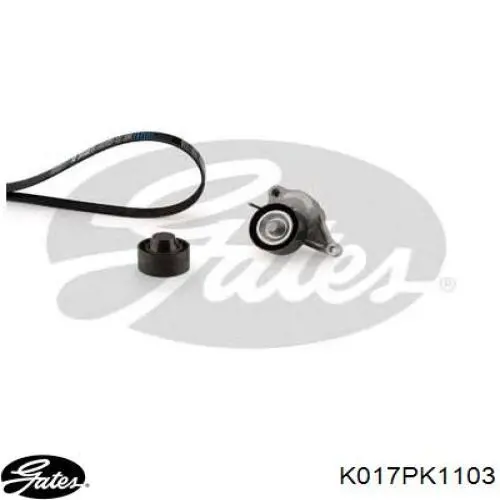 Compre 8660004980 Renault (RVI) Correia dos conjuntos de transmissão, kit