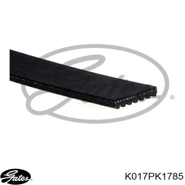 Correia dos conjuntos de transmissão, kit Renault (RVI) 7701477531 preço, a partir de 109,41 USD
