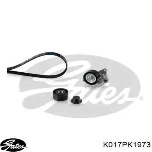 Compre 1172000Q0C Renault (RVI) Correia dos conjuntos de transmissão, kit