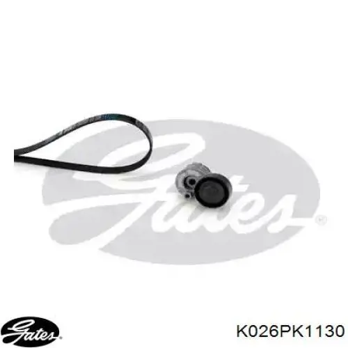 Compre 117209197R Renault (RVI) Correia dos conjuntos de transmissão, kit