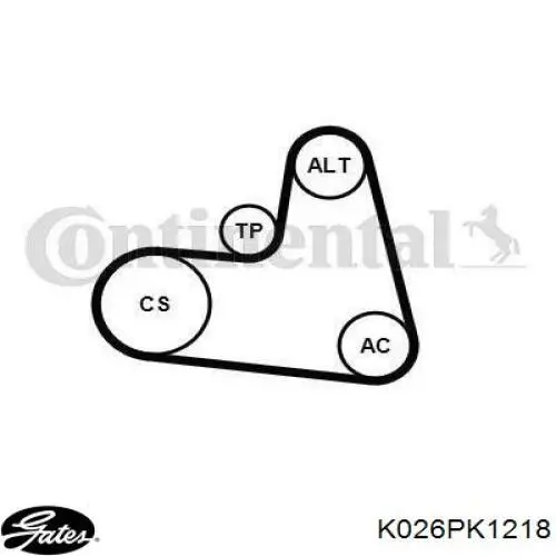 Correia dos conjuntos de transmissão, kit Gates K026PK1218 preço, a partir de 59,13 EUR