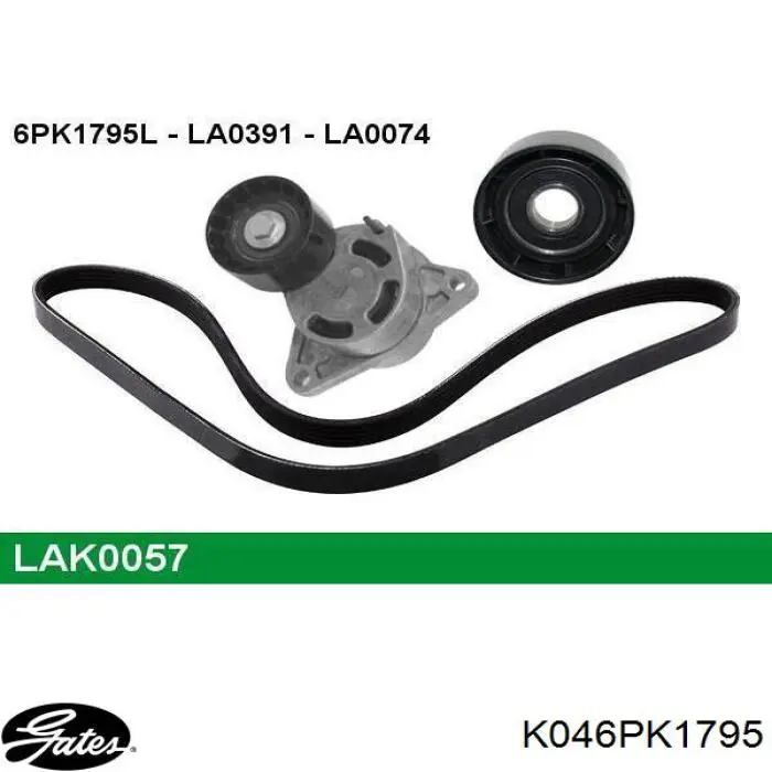 Compre 8660004411 Renault (RVI) Correia dos conjuntos de transmissão, kit