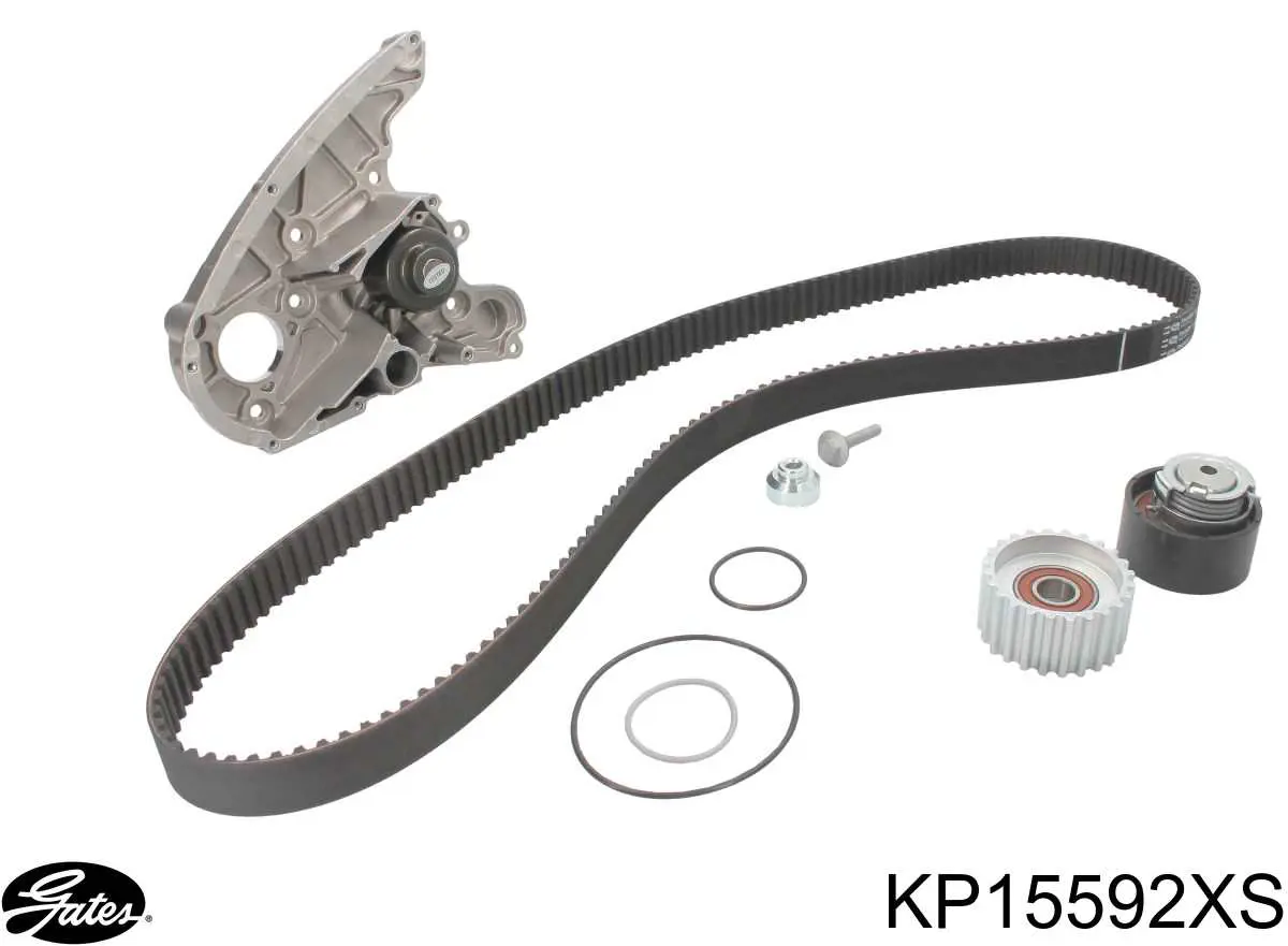 Compre 173200 Febi Correia do mecanismo de distribuição de gás, kit