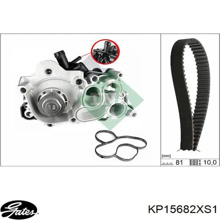 Correia do mecanismo de distribuição de gás, kit Dayco KTBWP12090 preço, a partir de 124,08 USD