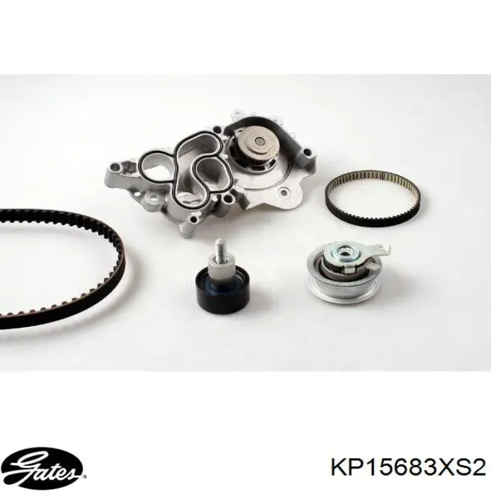 CT1169WP3 Continental/Siemens Correia do mecanismo de distribuição de gás, kit