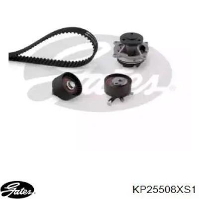 Correia do mecanismo de distribuição de gás, kit Gates KP25508XS1 preço, a partir de 170,68 USD