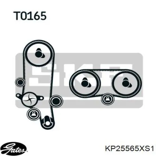 Correia do mecanismo de distribuição de gás, kit KD101 Dolz