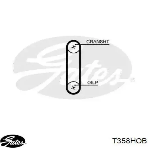 Correia de bomba de óleo VAG 3L115264A preço, a partir de 17,34 USD