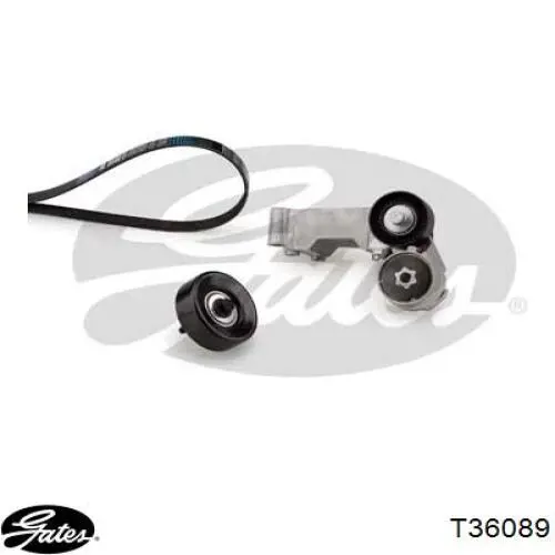 Compre T36089 Gates Rolo parasita da correia de transmissão