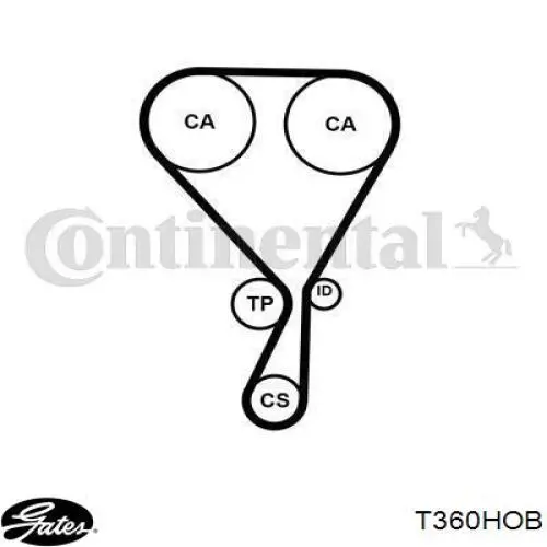 Correia do mecanismo de distribuição de gás CT1188 Continental/Siemens