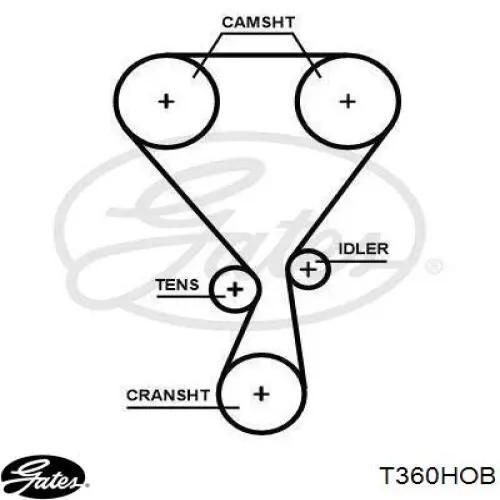 Correia do mecanismo de distribuição de gás Continental/Siemens CT1188 preço, a partir de 63,99 USD