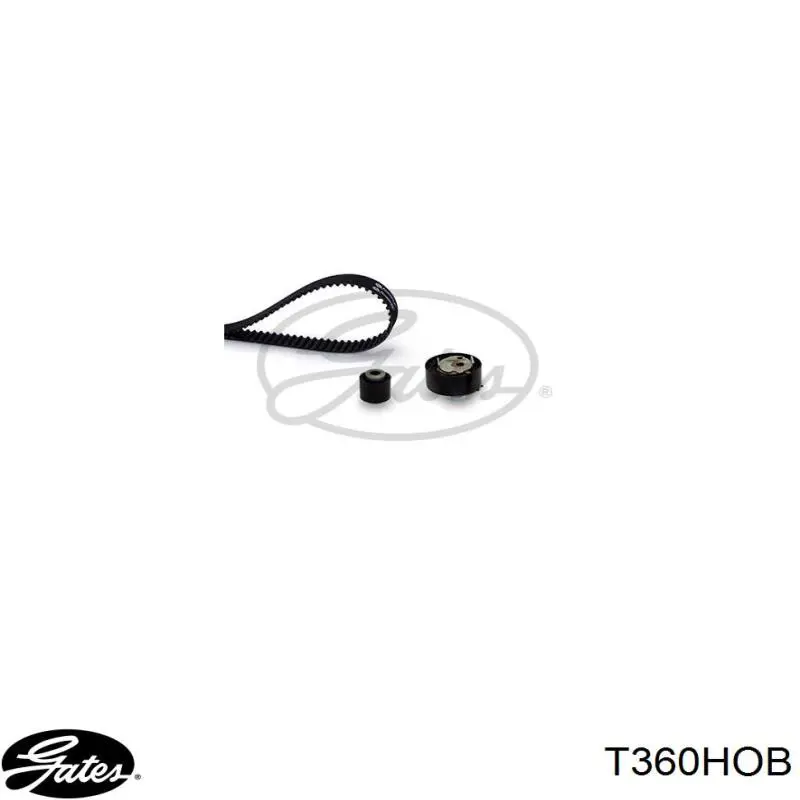 Correia do mecanismo de distribuição de gás Peugeot/Citroen 1654514680 preço, a partir de 66,31 USD