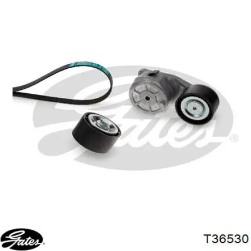 Compre 2129402 Scania Rolo parasita da correia de transmissão