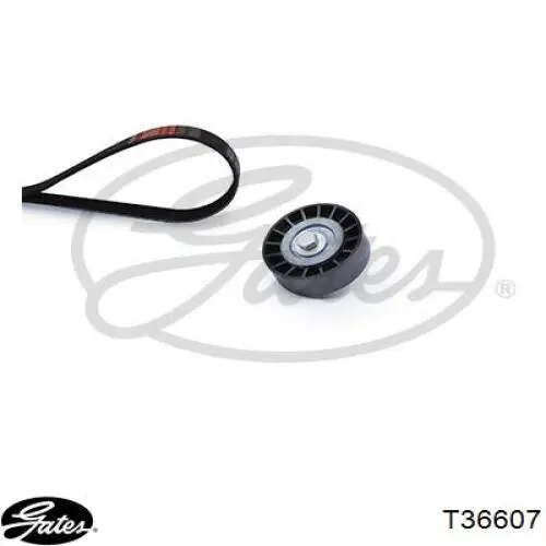 Compre T36607 Gates Rolo de reguladora de tensão da correia de transmissão