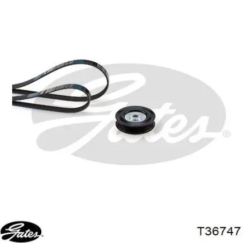 1753082J00 Suzuki Rolo de reguladora de tensão da correia de transmissão
