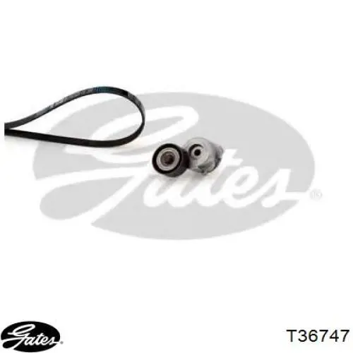 Compre 1753082J00 Suzuki Rolo de reguladora de tensão da correia de transmissão
