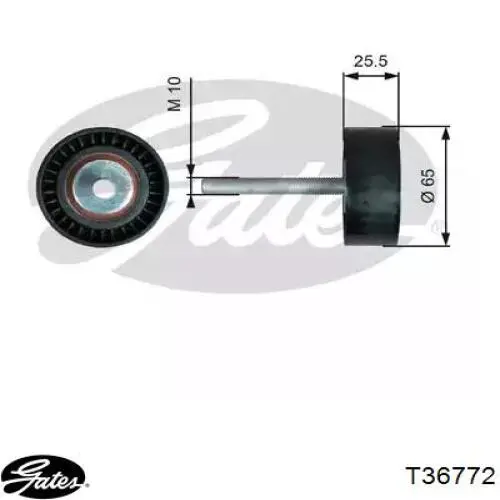 55275618 Fiat/Alfa/Lancia Rolo parasita da correia de transmissão