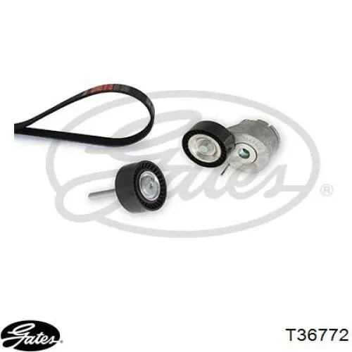 Rolo parasita da correia de transmissão 55275618 Fiat/Alfa/Lancia