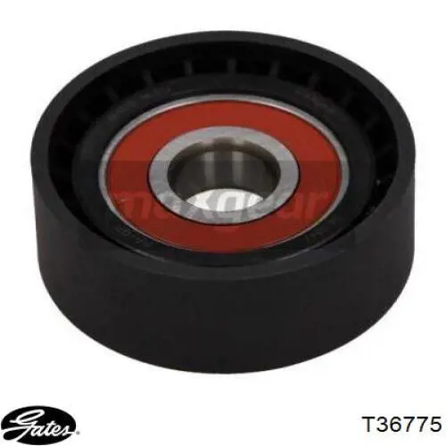 Rolo parasita da correia de transmissão 55565572 Opel
