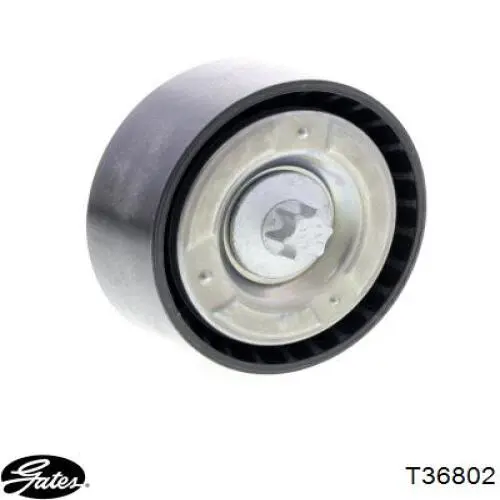 GA35167 SNR Rolo parasita da correia de transmissão