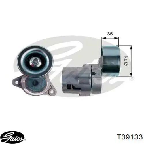 Compre TS311 Japan Parts Reguladora de tensão da correia de transmissão
